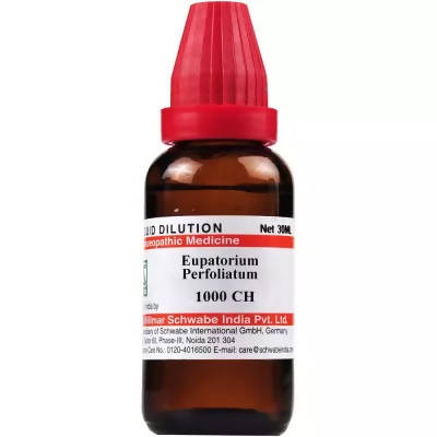 Dr. Willmar Schwabe India Eupatorium Perfoliatum Dilution | Grocsy