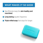 Ustraa Sea Minerals Soap For Men | Grocsy