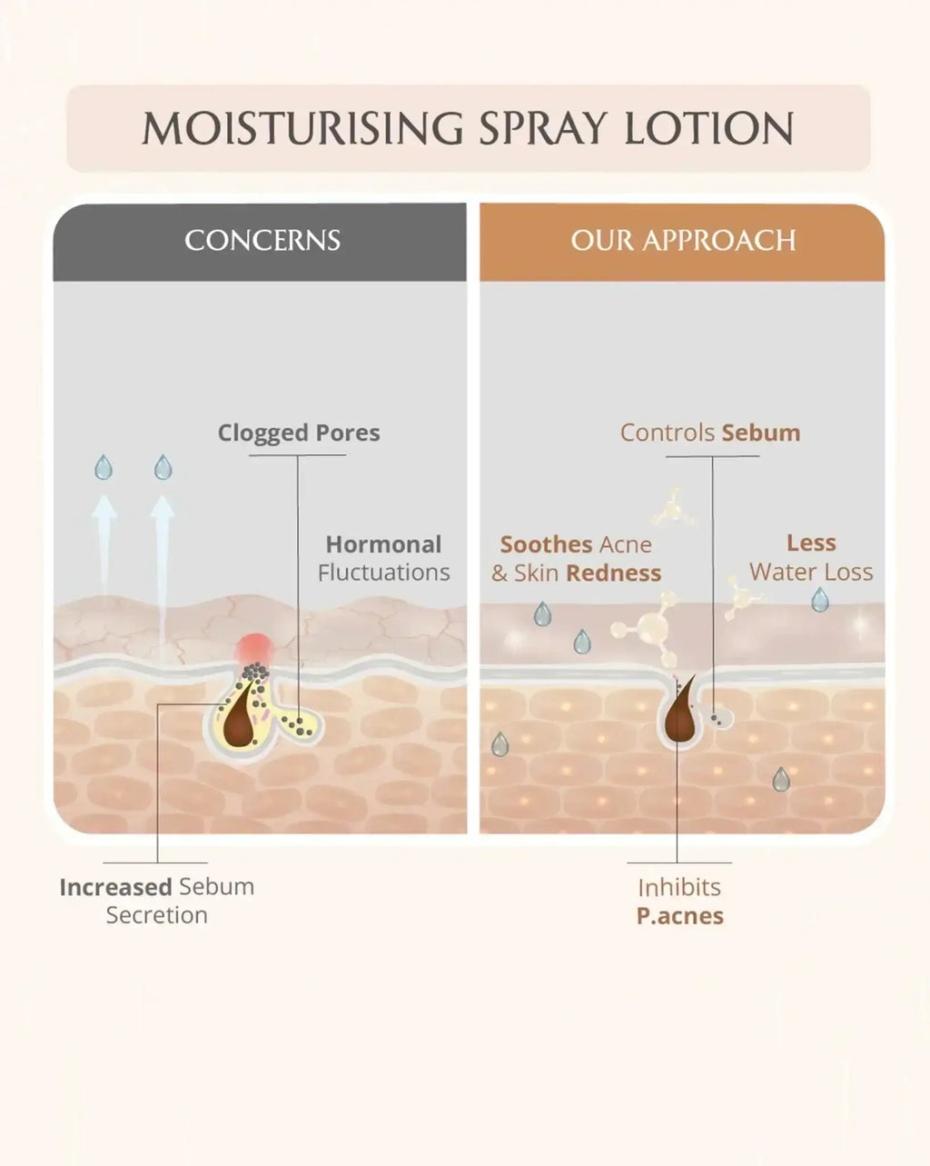 AreoVeda Acne Care Ritual | Grocsy