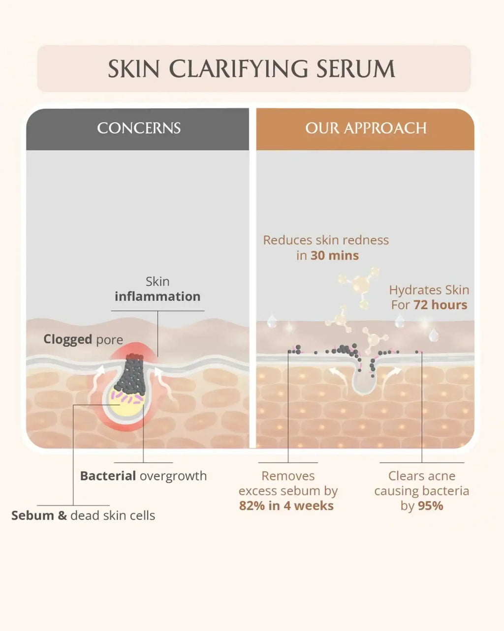 AreoVeda Acne Care Ritual | Grocsy