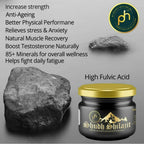 Ph Shudh Sj 100% Pure & Natural Ayurvedic Power Booster | Grocsy