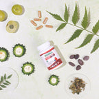 Herbika Diabetes Care Capsules | Grocsy