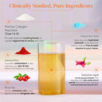 Wellbeing Nutrition Glow Korean Marine & Beauty Collagen Combo: Tropical Bliss & Mango Peach Flavor | Grocsy