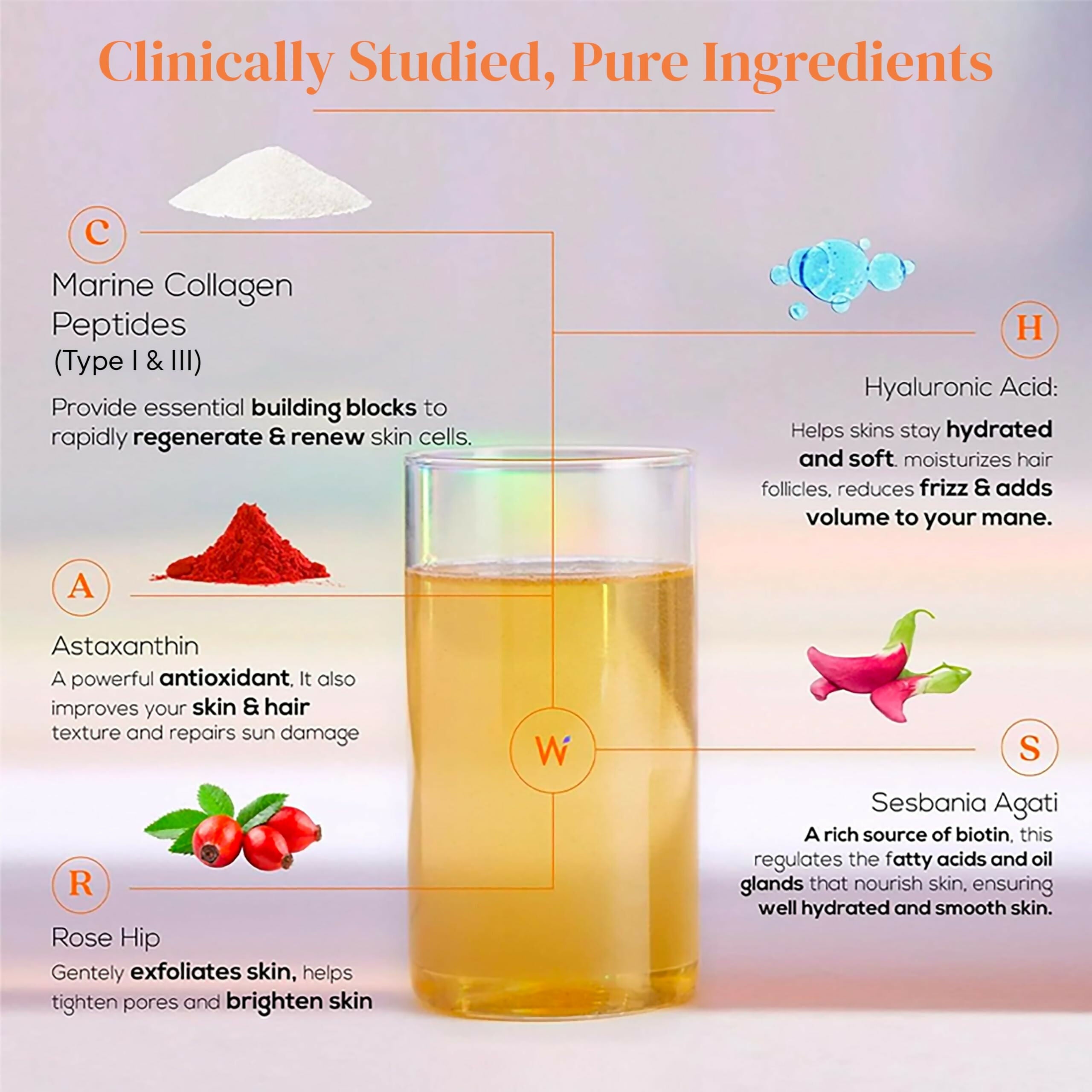 Wellbeing Nutrition Glow Korean Marine & Beauty Collagen Combo: Tropical Bliss & Mango Peach Flavor | Grocsy