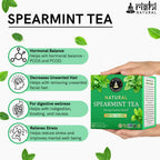 Rishi Natural Spearmint Tea | Grocsy