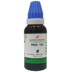 Hering Pharma Rhus Tox Mother Tincture Q | Grocsy