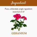 Mitti Se Geranium Essential Oil | Grocsy