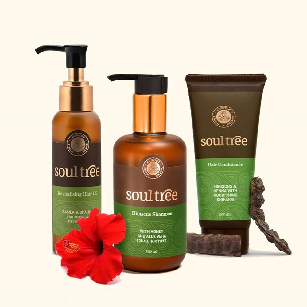 Soultree Friz Free Hair Regimen | Grocsy