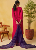 Vegaa Fashion Red Organza Embroidered And Handwork Palazzo Suit | Grocsy
