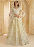 Vegaa Fashion Off White Net Thread Work Wedding Lehenga | Grocsy