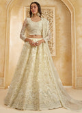 Vegaa Fashion Off White Net Thread Work Wedding Lehenga | Grocsy