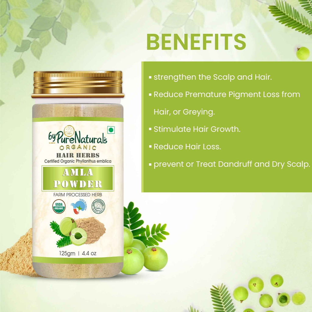 byPureNaturals Organic Amla Powder | Grocsy