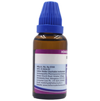 Father Muller Bovista Dilution | Grocsy