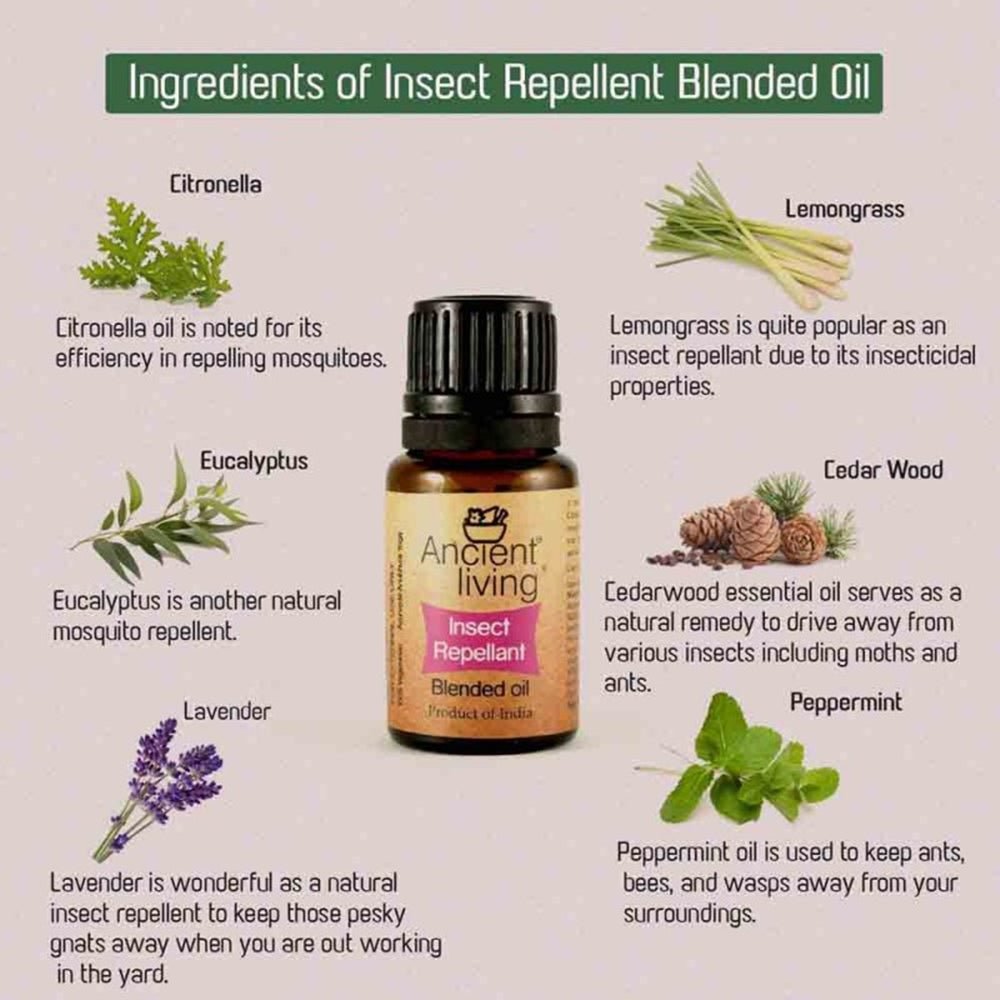 Ancient Living Insect Repellent Blended Oil | Grocsy