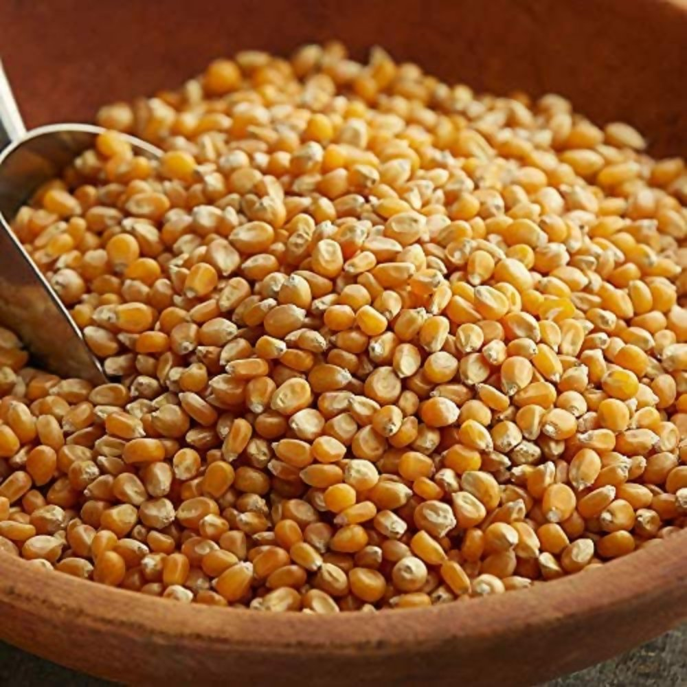 FreshoCartz Popcorn Kernel Seeds | Grocsy
