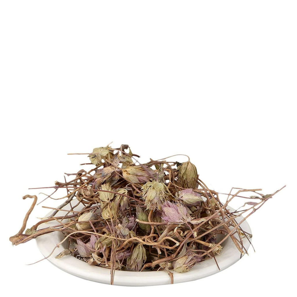 Yuvika Jufa - Zufa - Hyssopus Officinalis Linn - Hyssop - Issopo - Holy Herb | Grocsy