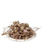 Yuvika Jufa - Zufa - Hyssopus Officinalis Linn - Hyssop - Issopo - Holy Herb | Grocsy