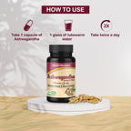 Jagat Pharma Ashwagandha Capsules | Helps Relieve Stress and Anxiety | Grocsy
