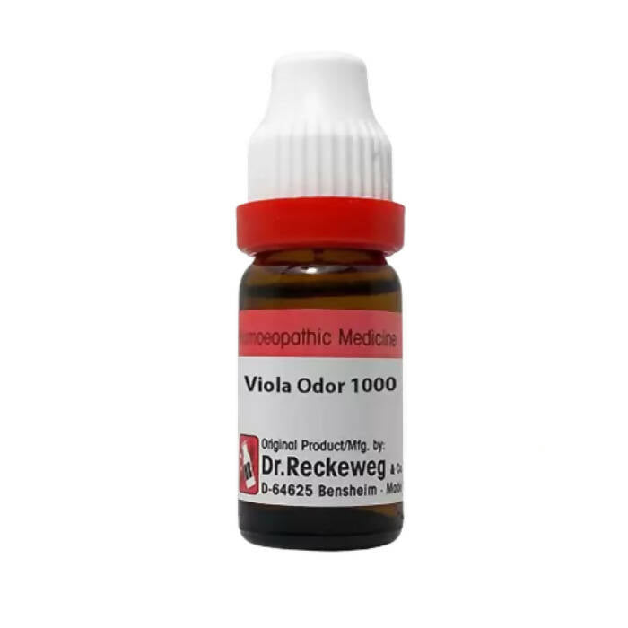 Dr. Reckeweg Viola Odor Dilution | Grocsy