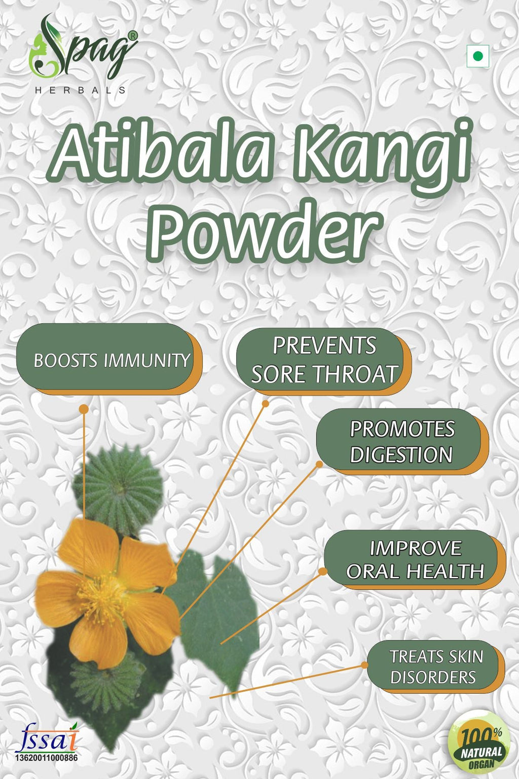 Spag Herbals Atibala Powder | Grocsy