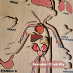 Nesta Toys Human Body | Internal Organs Wooden Puzzle | Grocsy