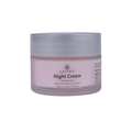 Ayuveer Night Cream With Blueberry Extract & Vitamin E | Grocsy