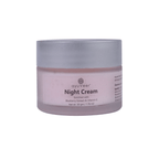 Ayuveer Night Cream With Blueberry Extract & Vitamin E | Grocsy