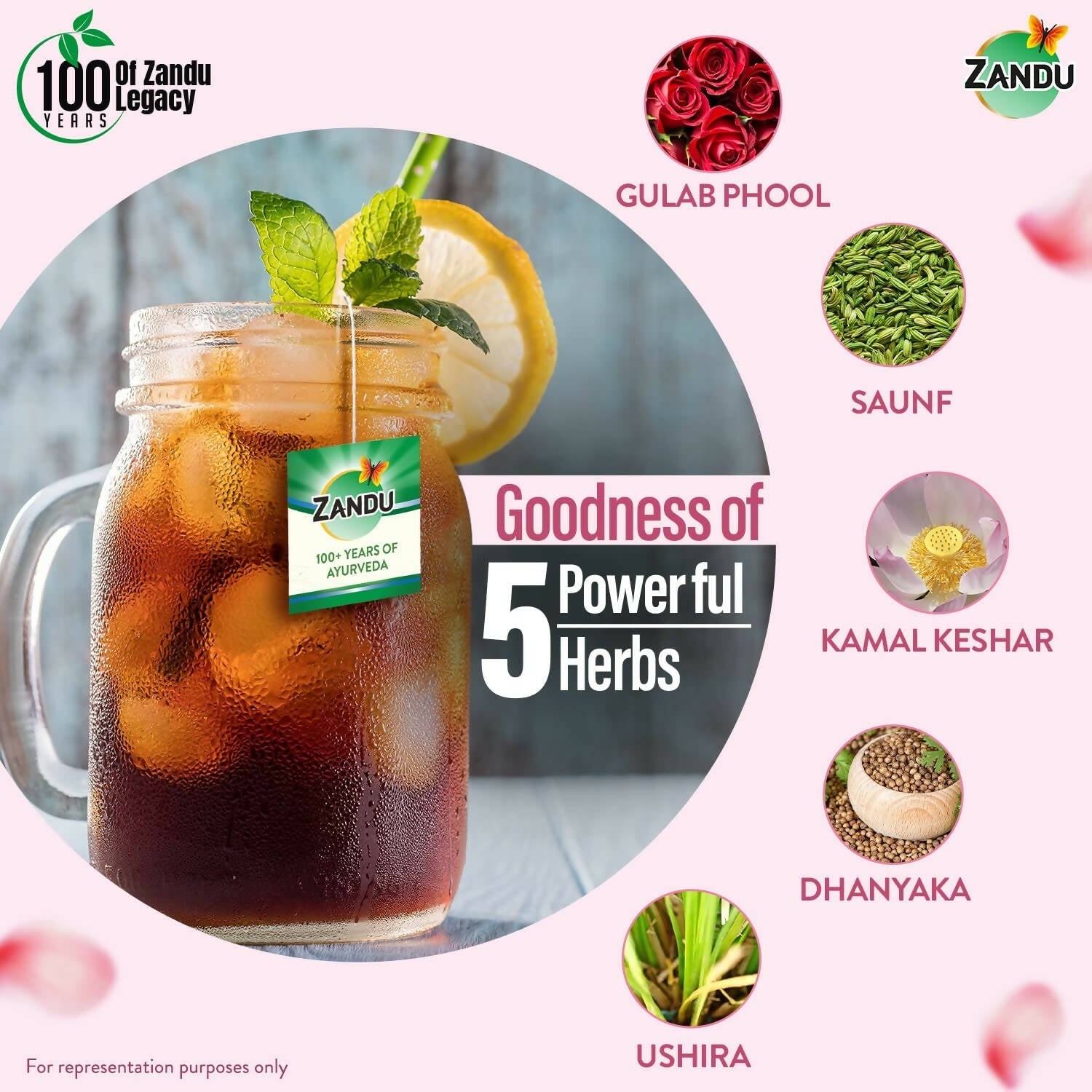 Zandu Calming & Refreshing Herbal Infusion | Grocsy