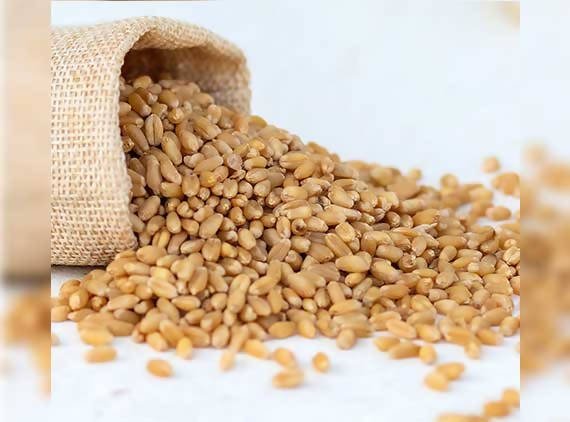 Adrish Sharbati Wheat | Grocsy