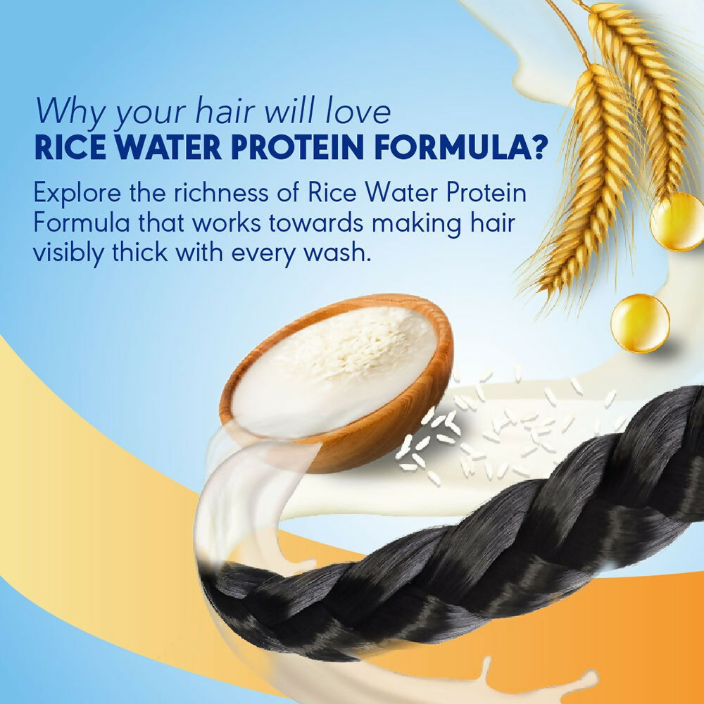 Clinic Plus With Rice Water Protein + Vitamin-E Strong & Thick Shampoo | Grocsy