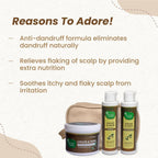 Mother Sparsh Ginger & Neem Anti-Dandruff Kit For Dandruff & Itchy Scalp | Grocsy