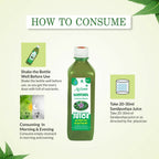 Axiom Sandpushpa Juice | Grocsy