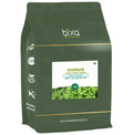 Bixa Botanical Gurmar Leaves Extract Powder | Grocsy