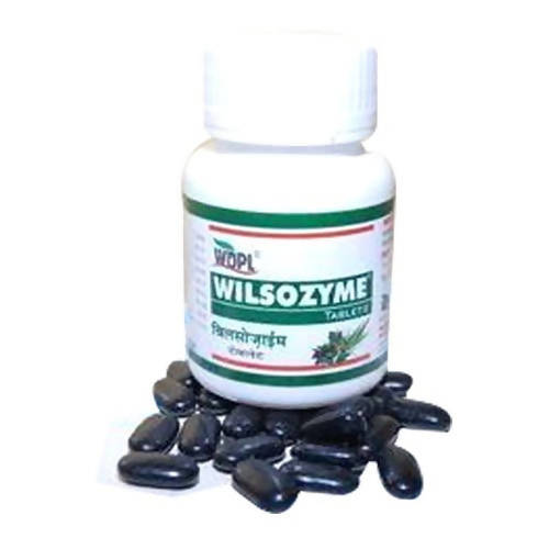 Wilson Wilsozyme Tablets | Grocsy