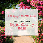 Wanderlust Fragrance Mist For Her - Country Rose | Grocsy