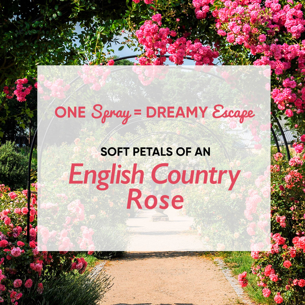 Wanderlust Fragrance Mist For Her - Country Rose | Grocsy