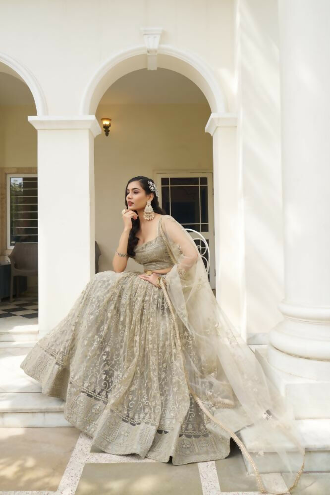 Aastha Fashion Ivory Butterfly Net Tone To Tone Cotton Thread Work And Sequence Work Embroidery Wedding Wear Lehenga Choli | Grocsy