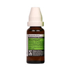 Dr. Willmar Schwabe Germany Bryorheum Drops | Grocsy