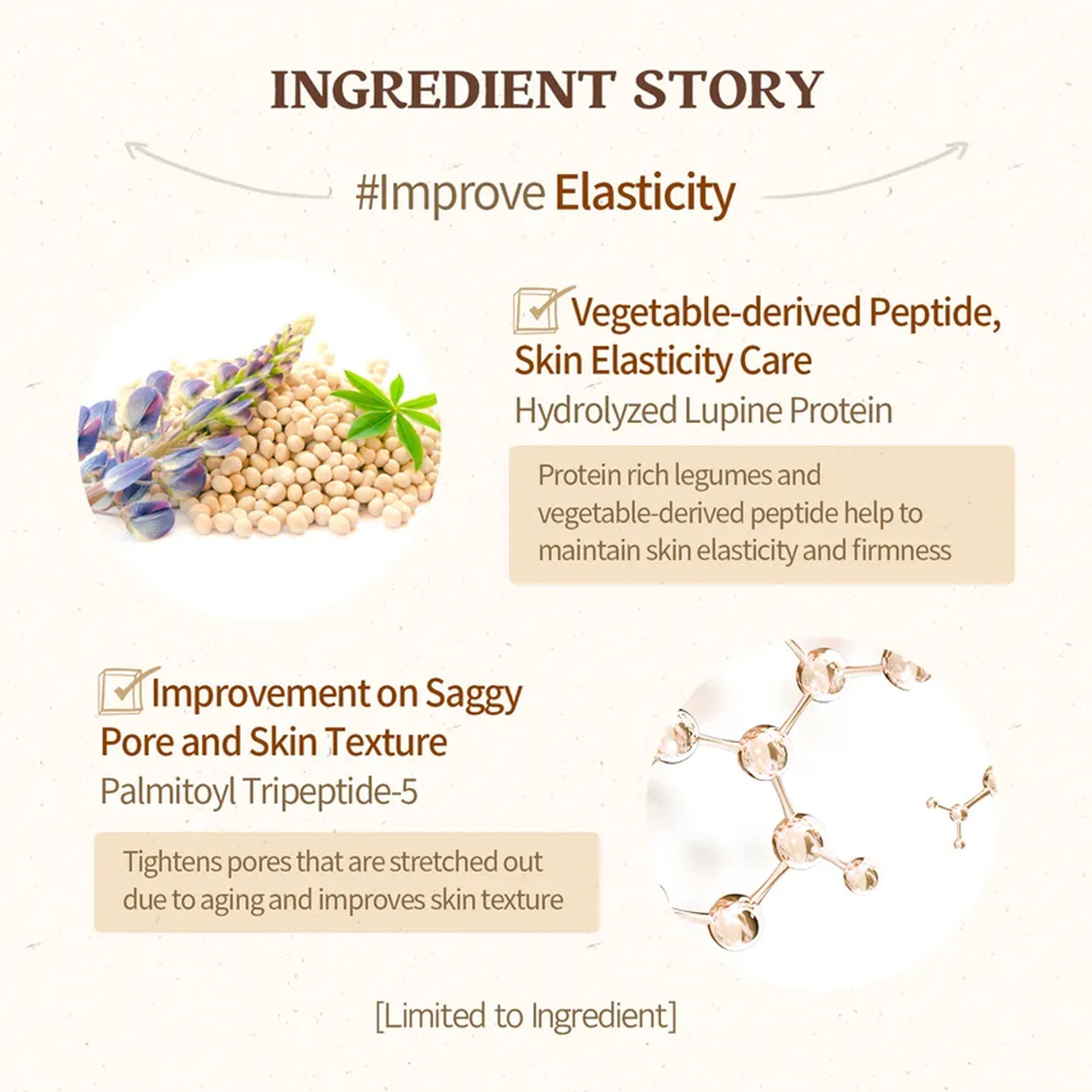 Skinfood Acorn Pore Peptide Ampoule | Grocsy