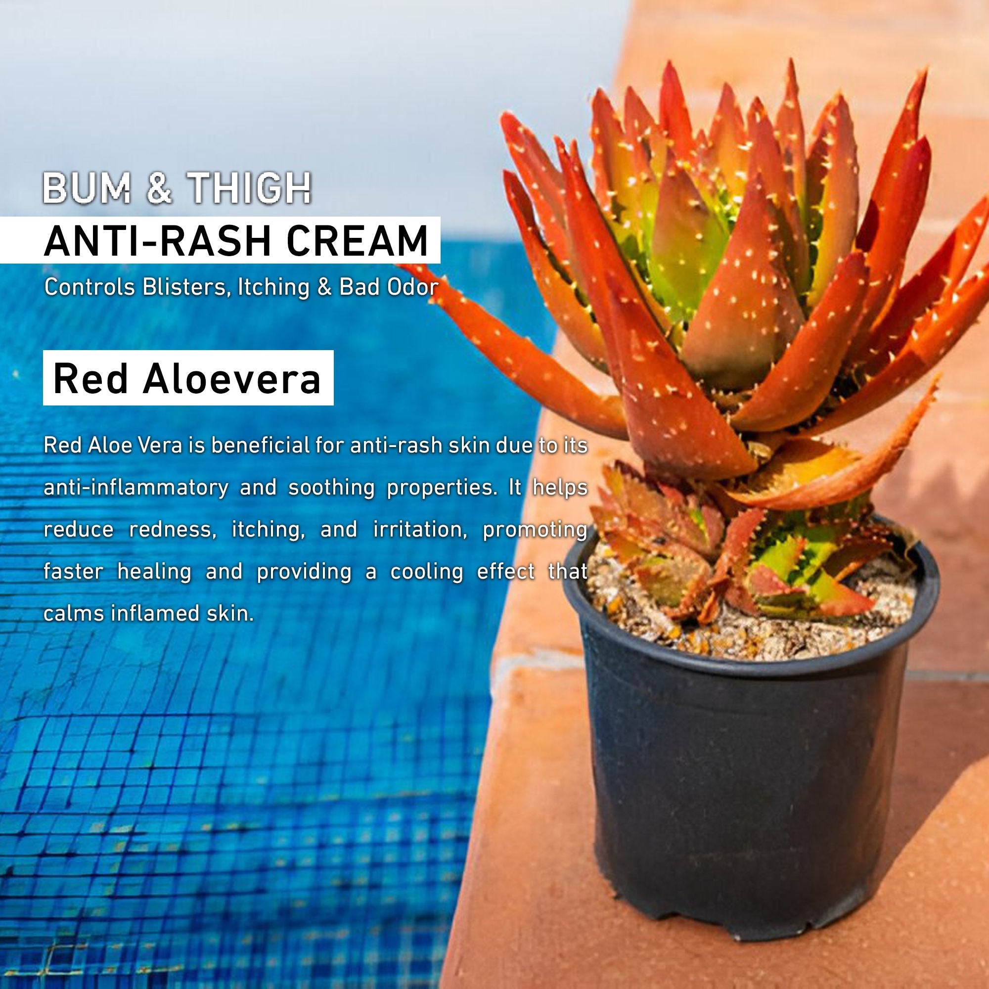 SANCTUS Bum & Thigh Anti-Rash Cream | Grocsy