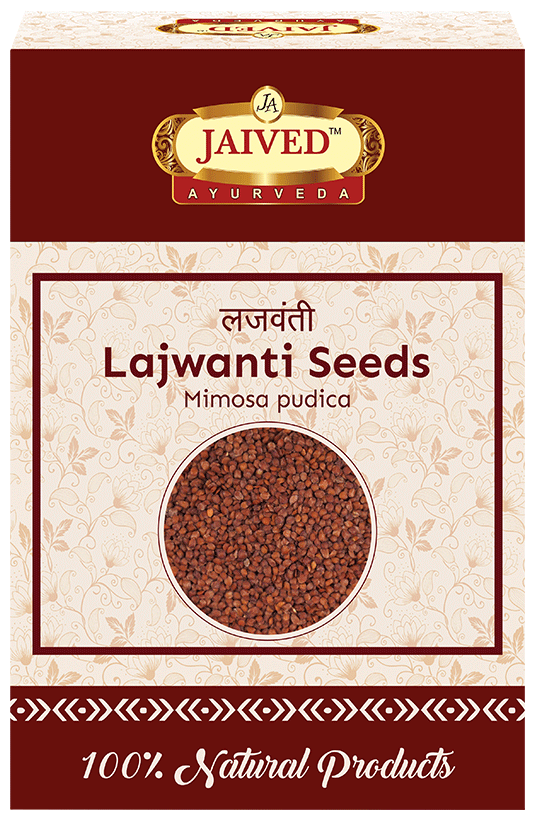 Jaived Ayurveda Sensitive Plant Lajwanti Seeds | Grocsy