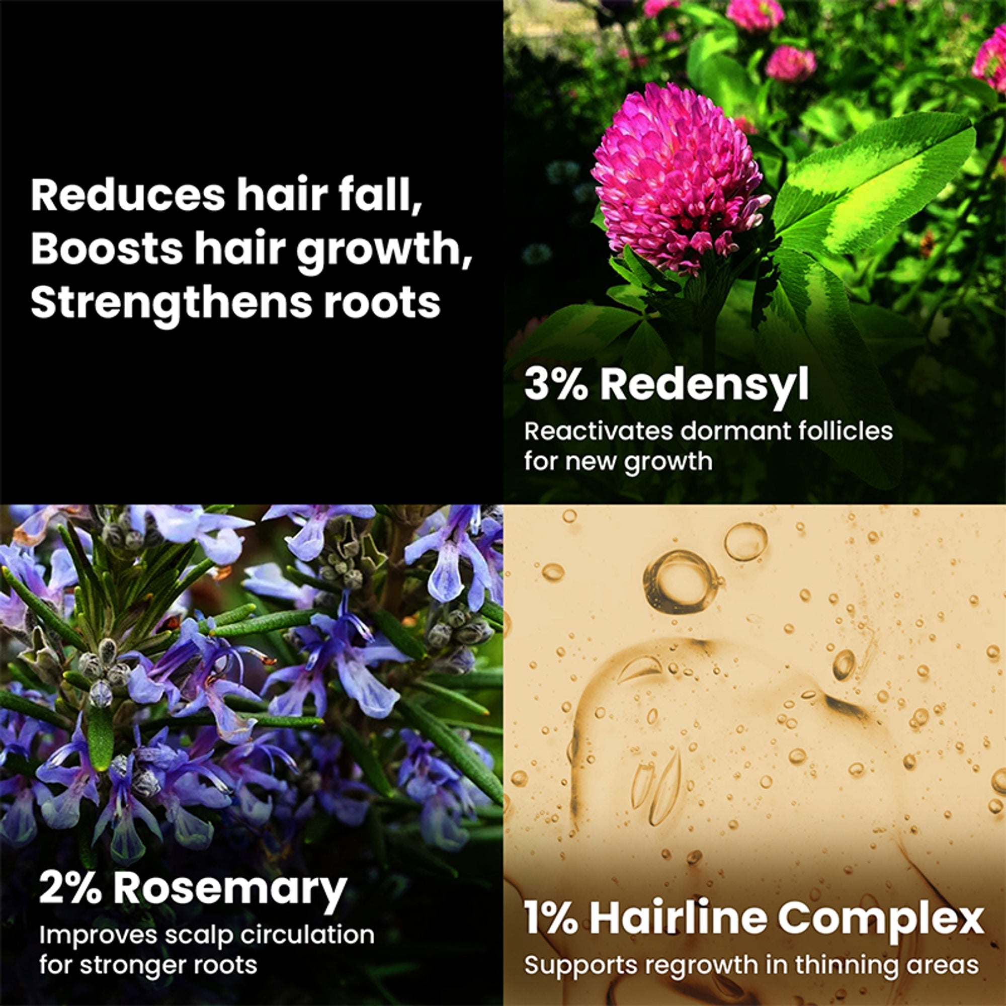 The Skin Story Hair Growth Serum | Grocsy