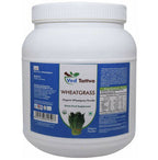 Ved Tattva Wheatgrass Powder | Grocsy