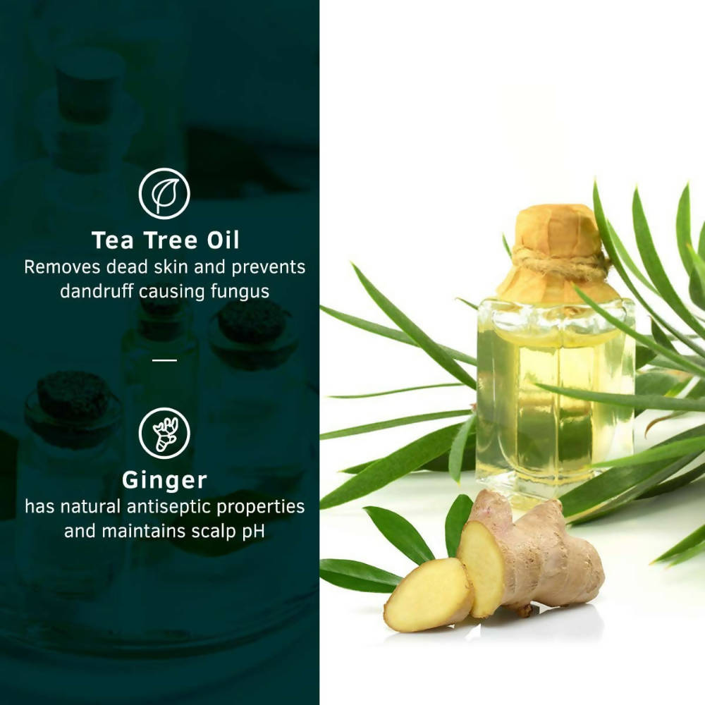 Ustraa Anti Dandruff Hair Shampoo With Ginger & Tea Tree For Men | Grocsy