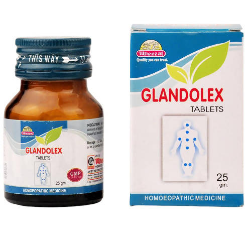 Wheezal Homeopathy Glandolex Tablets | Grocsy