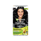 Garnier Color Naturals Creme Riche Hair Color - Shade 1 Natural Black | Grocsy