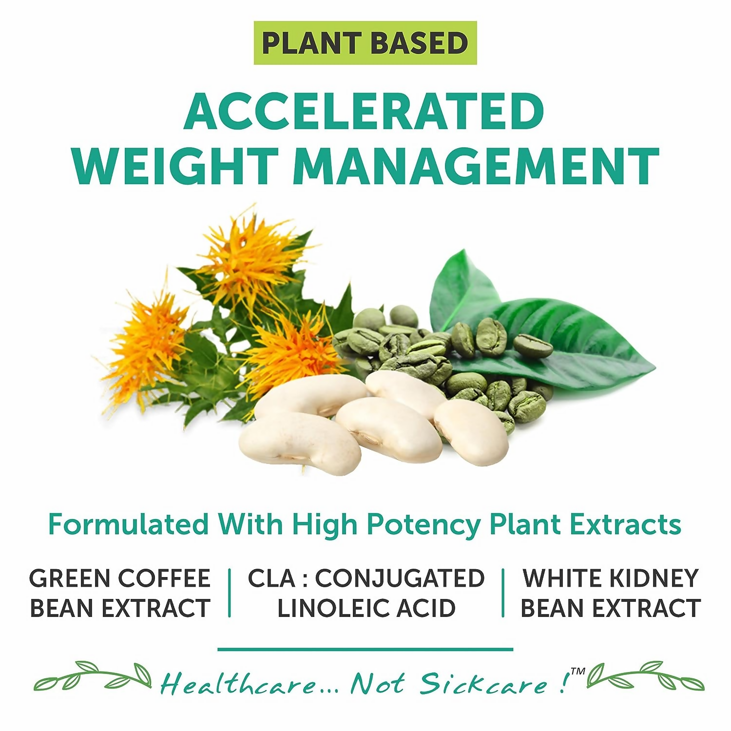 Bliss Welness CLA White Kidney Bean Extract Green Coffee Bean Extract Tablets | Grocsy
