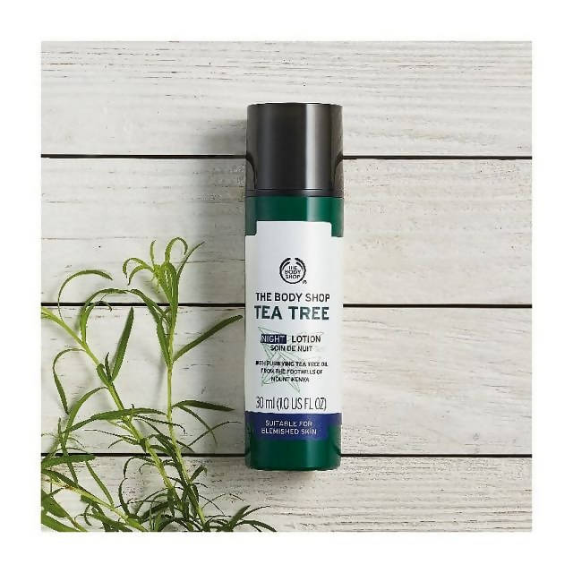 The Body Shop Tea Tree Night Lotion | Grocsy