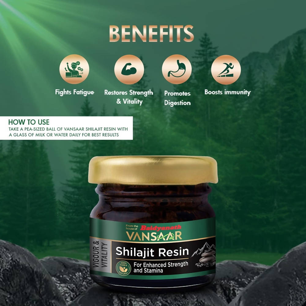 Baidyanath Vansaar Sj Resin | Grocsy