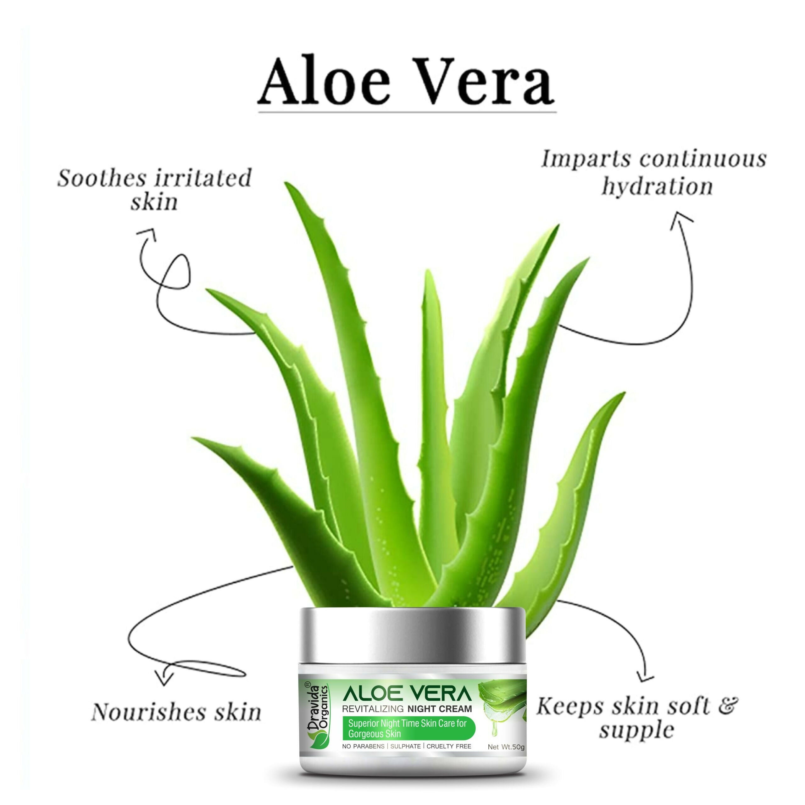 Dravida Organics Aloe Vera Revitalizing Night Cream | Grocsy